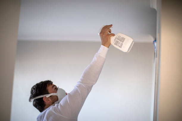 Attic Mold Removal in Margate, FL